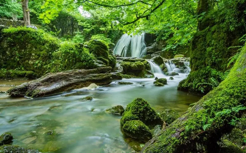 高性能智能系统全自动